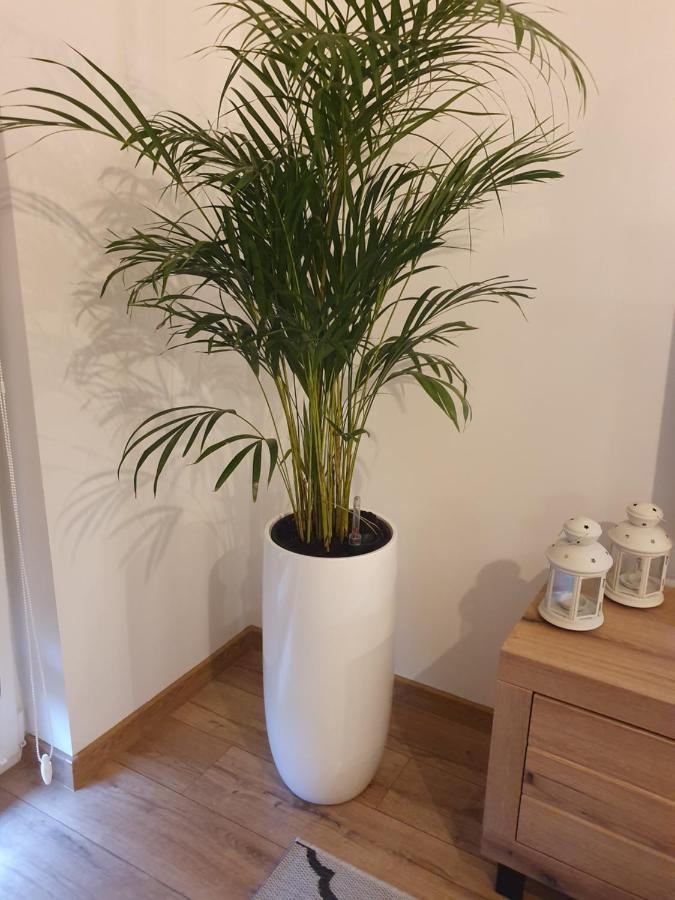 Apartament Number One Nova Wozownia 레스노 외부 사진